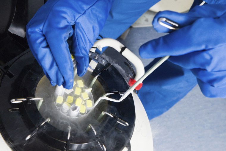 Doctors hands removing embryo samples from cryogenic storage