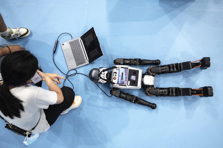2025 World Humanoid Robot Games - Day Three