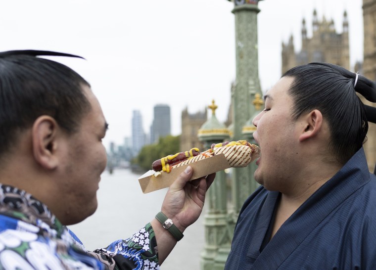 Image: The Grand Sumo Tournament Previews