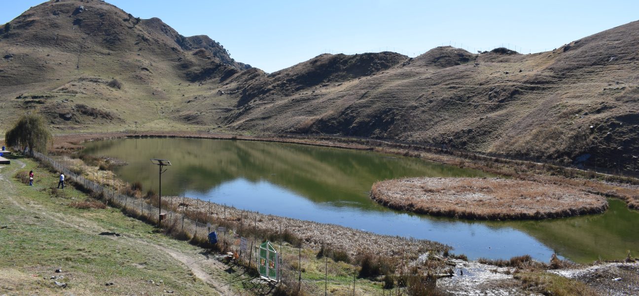 Himachal Pradesh: Healing in the Himalayas