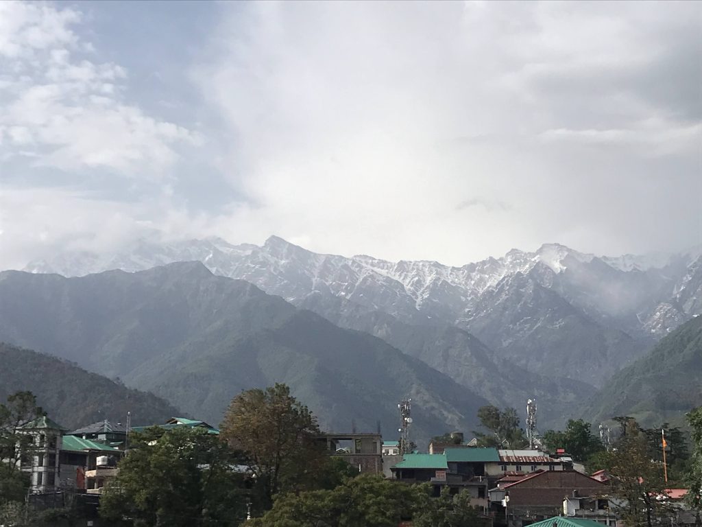 Nature Walks and Forest Therapy