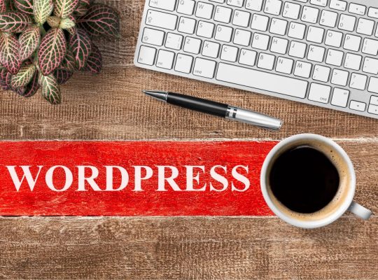 Professional WordPress development company Cyberorama